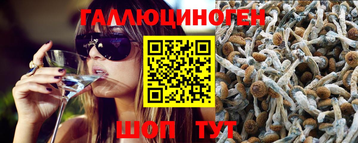 Псилоцибиновые грибы GOLDEN TEACHER  Галлюциногенные грибы GOLDEN TEACHER  Вход с VPN  наркошоп  Лянтор 
