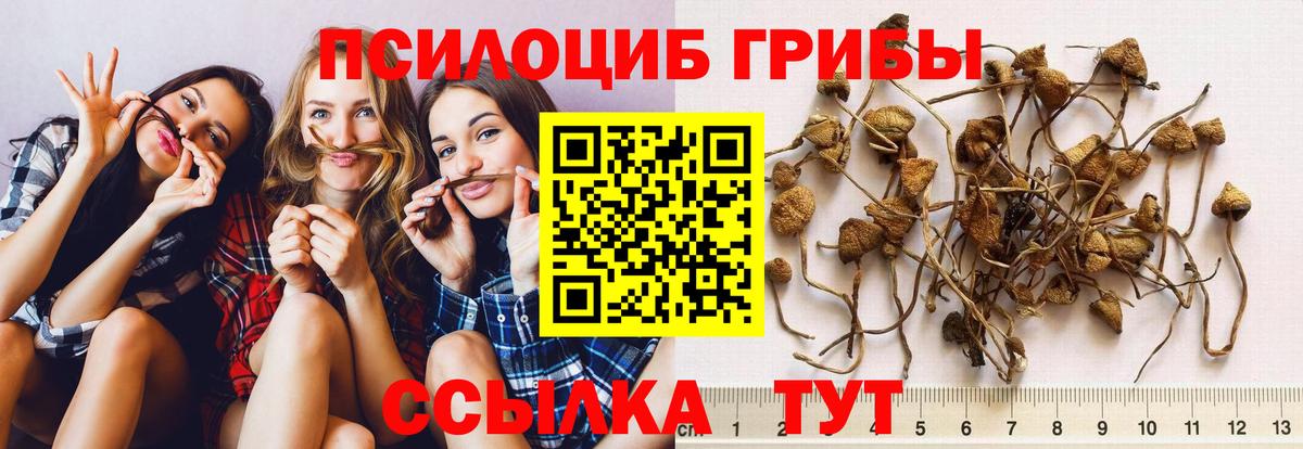 Псилоцибиновые грибы мухоморы Лянтор